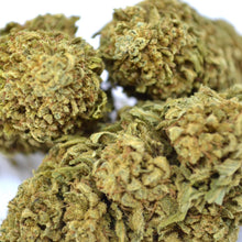 Charger l&#39;image dans la galerie, Orange Bud 🍊 [Sous-serre]
