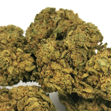 Charger l&#39;image dans la galerie, V1 Super Silver Haze 🦾 [Sous-serre]

