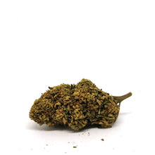 Charger l&#39;image dans la galerie, V1 Super Silver Haze 🦾 [Sous-serre]
